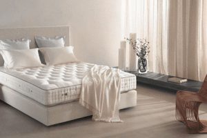 Bài viết demo số 6